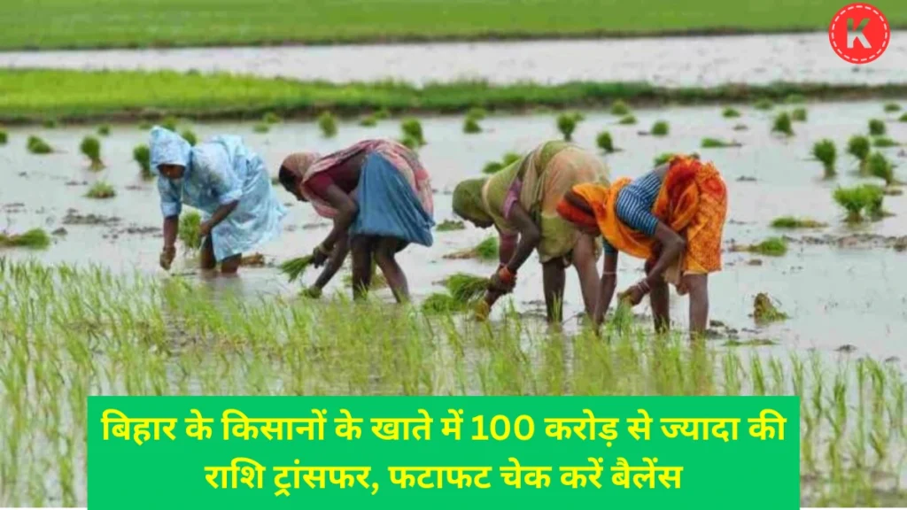 कृषि इनपुट अनुदान का पैसा कब आएगा: 113 करोड़ रुपये जारी, ऐसे चेक करें | कृषि इनपुट अनुदान स्टेटस | Bihar Krishi Input Anudan